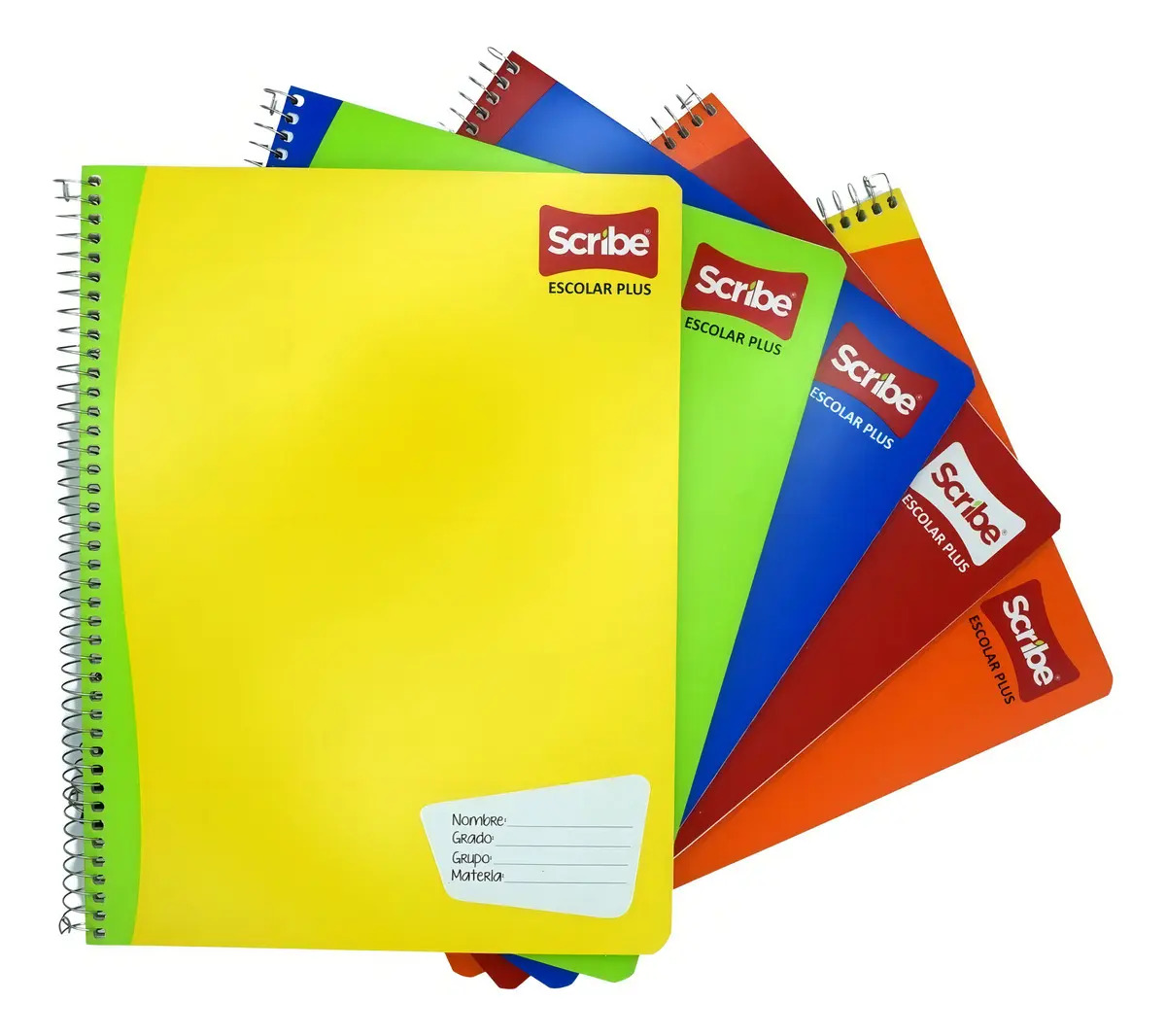 Cuaderno scribe prof. dibujo 100 h espiral