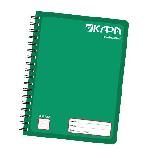 CUADERNO PROFESIONAL KAPA 100 H. DIBUJO